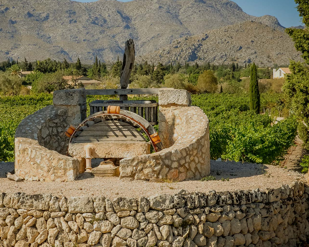 Antiguo pozo de piedra restaurado en medio de los viñedos de Bodegas Can Vidalet, en Pollença, Mallorca. La estructura circular de piedra, con poleas y una base artesanal, se alza entre hileras de vides verdes y árboles mediterráneos. Al fondo se aprecian las montañas de la Serra de Tramuntana bajo un cielo azul despejado. La imagen transmite la conexión entre tradición, paisaje rural mallorquín y la herencia vinícola artesanal de Can Vidalet.