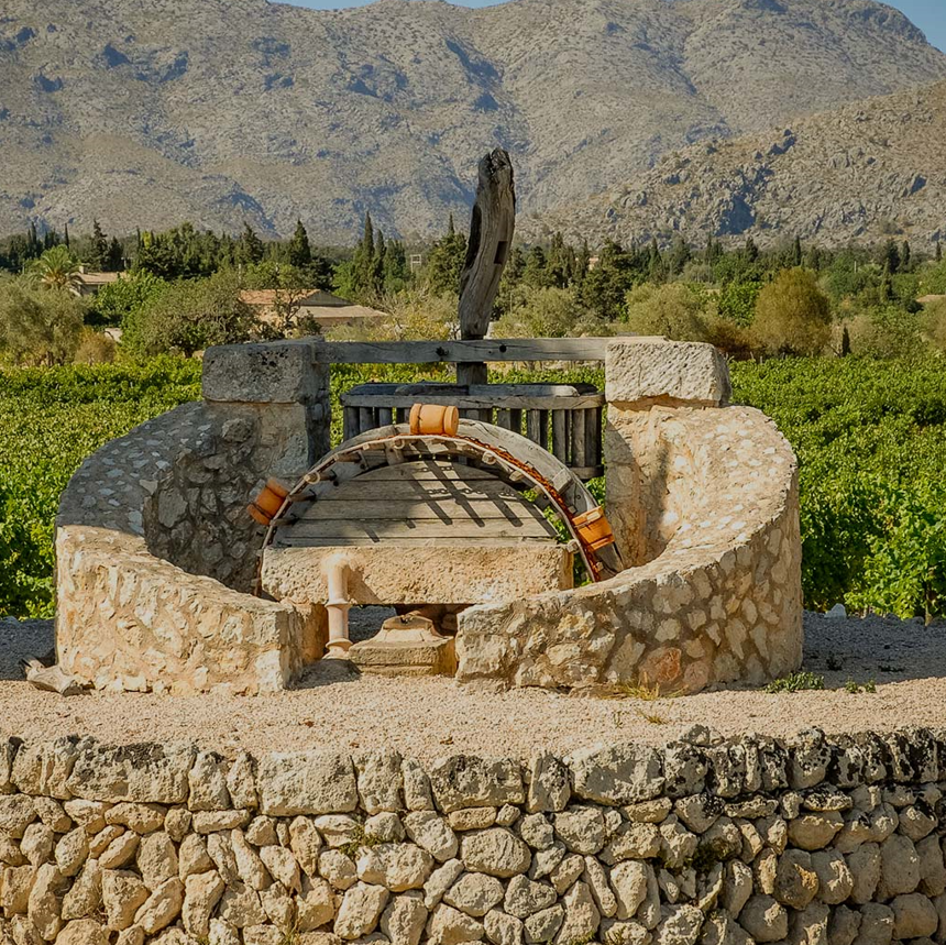 Antiguo pozo de piedra restaurado en medio de los viñedos de Bodegas Can Vidalet, en Pollença, Mallorca. La estructura circular de piedra, con poleas y una base artesanal, se alza entre hileras de vides verdes y árboles mediterráneos. Al fondo se aprecian las montañas de la Serra de Tramuntana bajo un cielo azul despejado. La imagen transmite la conexión entre tradición, paisaje rural mallorquín y la herencia vinícola artesanal de Can Vidalet.