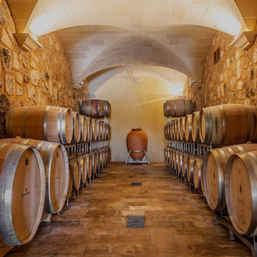 Sala de barricas en la bodega Can Vidalet, ubicada en Pollença, Mallorca. El espacio abovedado de piedra alberga hileras simétricas de barricas de roble utilizadas para la crianza del vino. Al fondo, destaca una tinaja de barro artesanal iluminada por luz cálida, que realza el ambiente rústico y tradicional del viñedo mallorquín. Imagen representativa del proceso de elaboración y envejecimiento del vino en las bodegas de Mallorca.