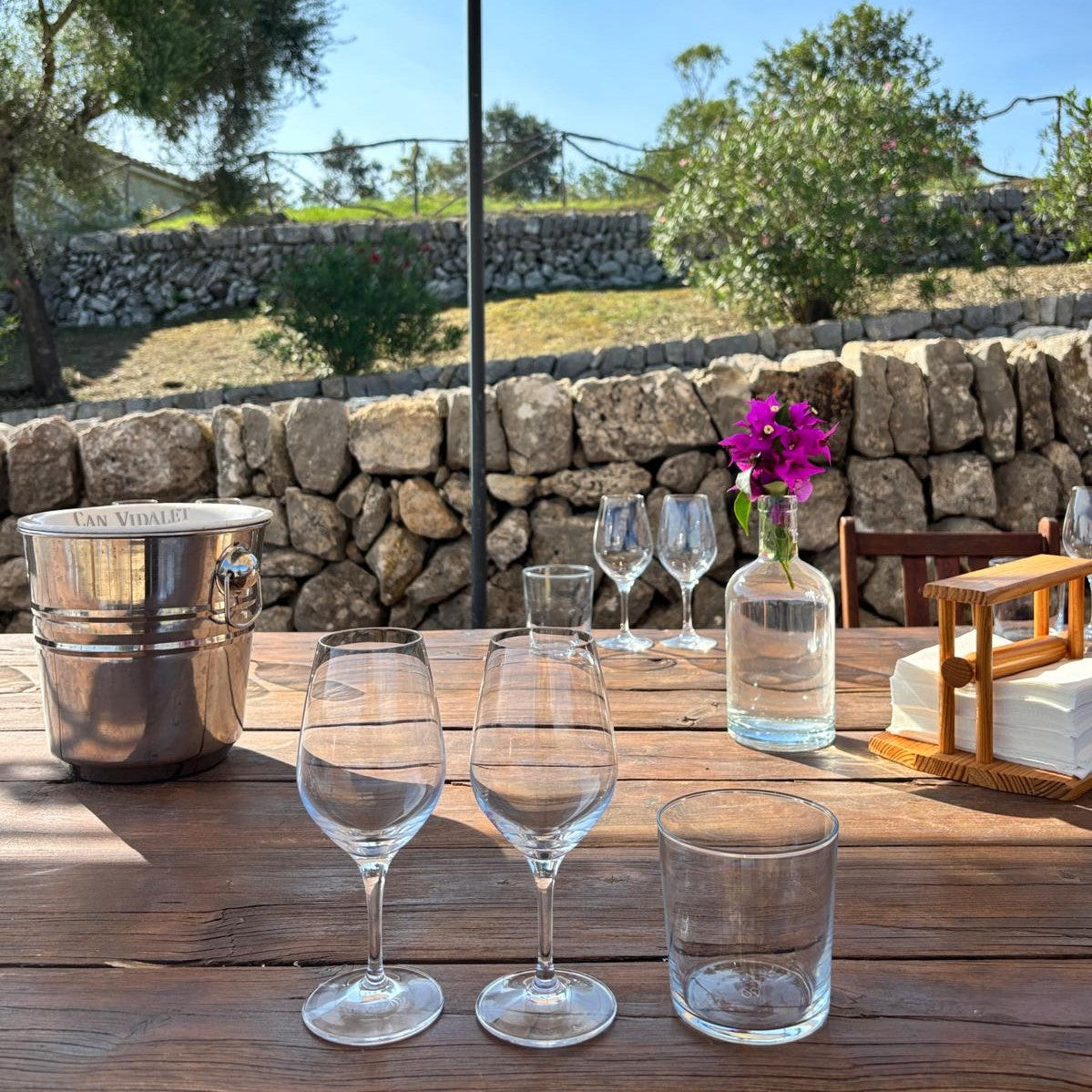 Mesa de degustación en Bodegas Can Vidalet, ubicada en Pollença, Mallorca. Sobre una mesa de madera hay una bandeja redonda con embutidos, quesos mallorquines, pan, aceitunas y frutos secos, acompañados de copas de vino blanco y rosado. Una mano sostiene una copa de vino mientras el resto de las copas están dispuestas para una cata al aire libre. El entorno refleja la experiencia gastronómica y artesanal del vino mallorquín en un ambiente natural y elegante.