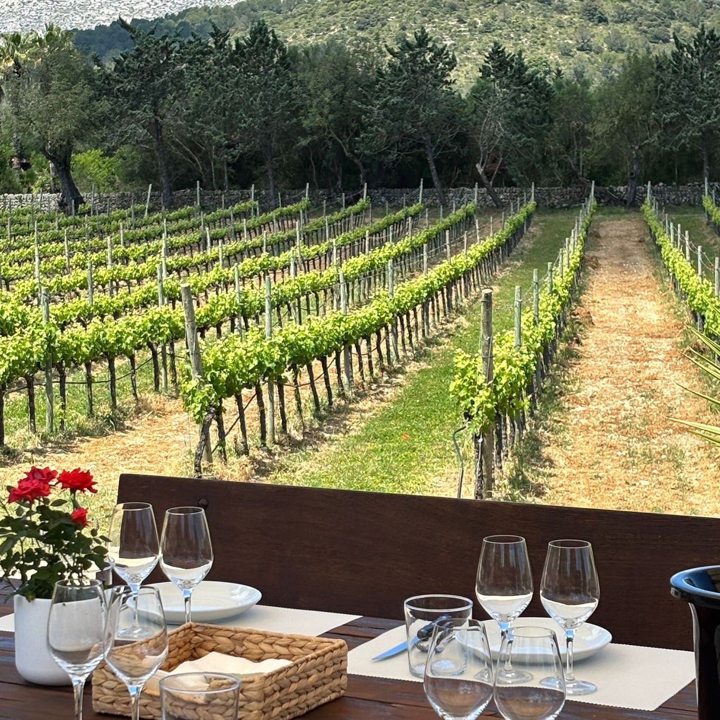 Mesa de cata preparada en una terraza frente a los viñedos de Bodegas Can Vidalet en Pollença, Mallorca. En primer plano se observan copas de vino vacías, platos y una cesta de mimbre sobre una mesa de madera decorada con flores rojas. Al fondo, hileras de vides verdes se extienden entre muros de piedra y árboles mediterráneos bajo la luz del mediodía. La imagen transmite la esencia del enoturismo mallorquín y la experiencia sensorial del vino artesanal de Can Vidalet.