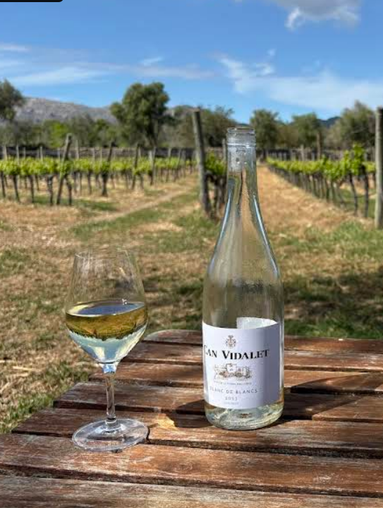 Blanc de Blancs 2023