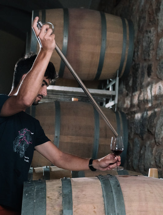 Enólogo de la bodega Can Vidalet en Mallorca extrayendo vino de una barrica de roble con una pipeta de acero inoxidable durante el proceso de cata y control de calidad.
