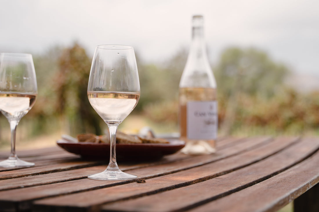 Vino, calorías y dietas: ¿Perder peso con vino?