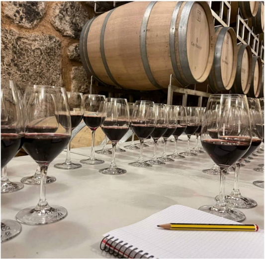Cata de vinos en una bodega boutique de Mallorca con copas preparadas para degustación, barricas tradicionales y ambiente auténtico. Experiencia enoturística en Can Vidalet, Pollença.