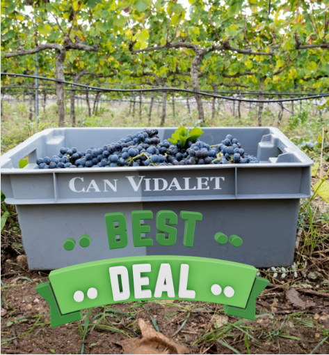 Caja de uvas tintas en vina de Can Vidalet. Imagen de colección Ofertas y Ediciones Limitadas