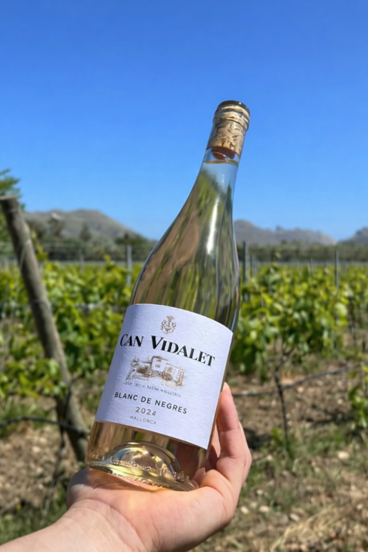 Persona sosteniendo una botella de vino Can Vidalet Blanc de Negres 2024 en un viñedo de Mallorca, con cielo azul y montañas de fondo.