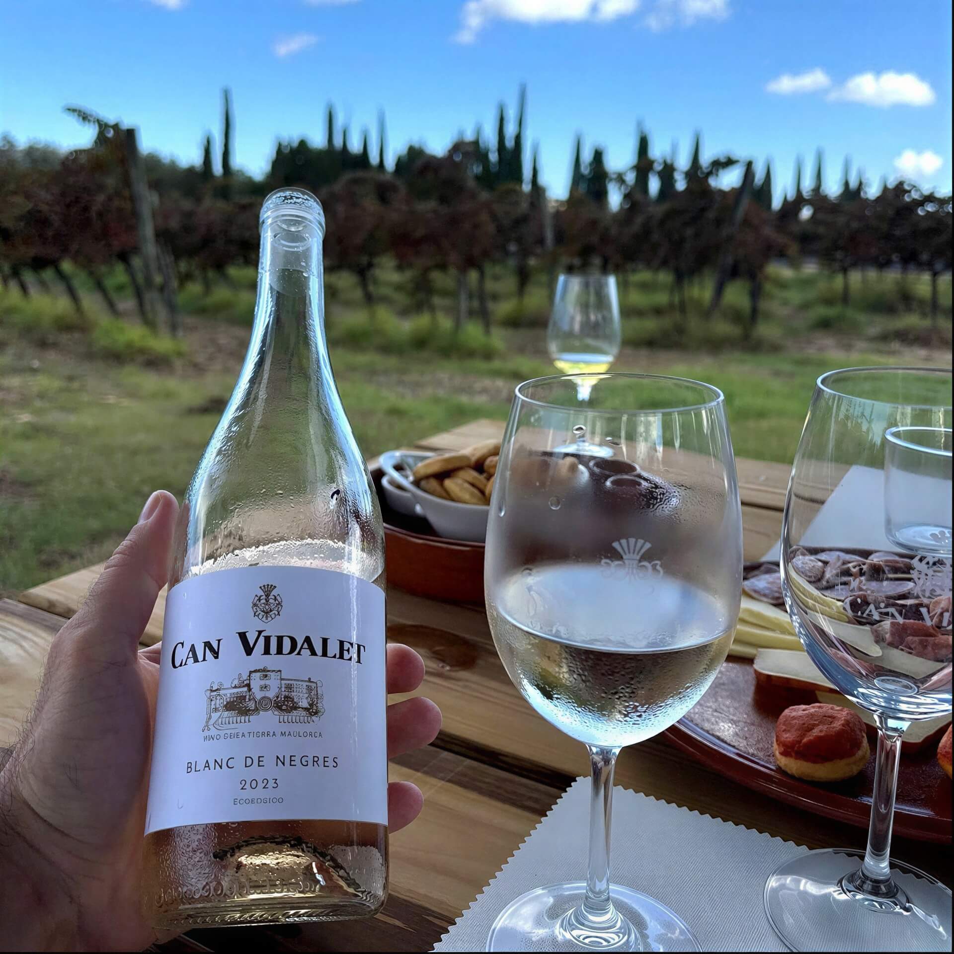 Blanc de Negres 2023: white wine from red grapes – Bodegas Ca'n