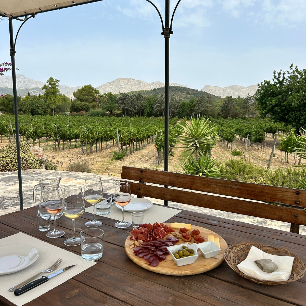 Outdoor wine tasting table with glasses and tapas overlooking green vineyard rows in Mallorca at Can Vidalet winery.