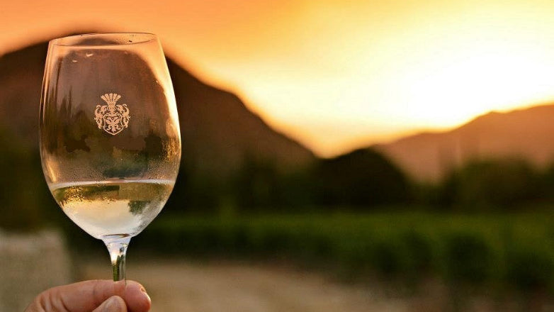 Copa de vino Can Vidalet al atardecer entre viñedos de Mallorca, una imagen que refleja tradición, paisaje mediterráneo y disfrute auténtico.