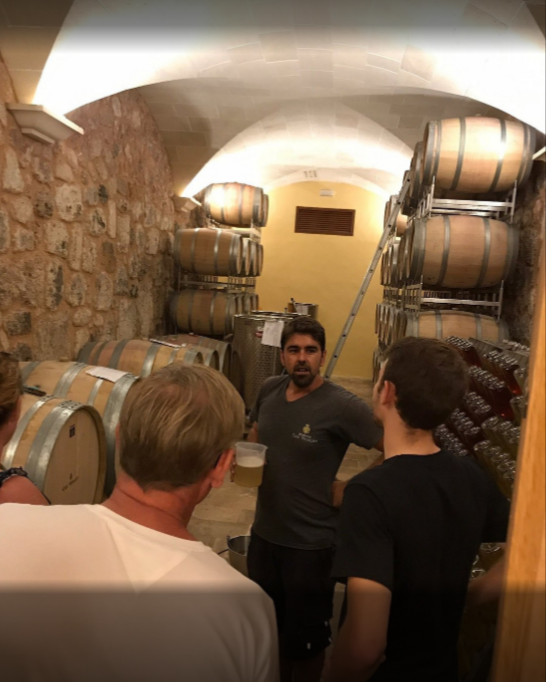 Grupo de visitantes durante una visita guiada en la bodega Can Vidalet, en Pollença, Mallorca. Un enólogo explica el proceso de envejecimiento del vino frente a las barricas de roble alineadas en la sala subterránea. La imagen refleja la experiencia enoturística, la tradición vitivinícola mallorquina y el ambiente acogedor de la bodega.