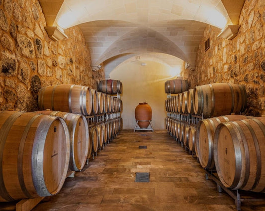 Wine tour and tasting