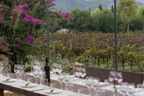 Mesa preparada para una cata de vinos frente a los viñedos de la bodega Can Vidalet en Mallorca, rodeada de naturaleza mediterránea y flores de buganvilla. La imagen refleja el ambiente tranquilo y elegante de una experiencia enoturística mallorquina.