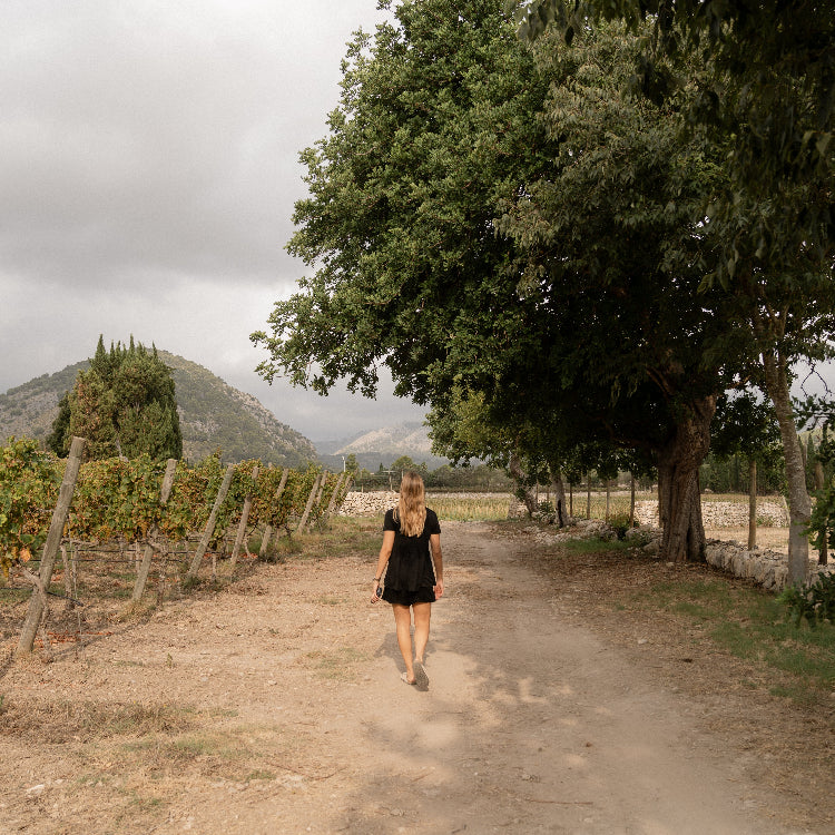 Mujer caminando por un sendero entre los viñedos de la bodega Can Vidalet en Mallorca, rodeada de montañas y naturaleza mediterránea. La escena transmite calma, conexión con la tierra y el espíritu auténtico del vino mallorquín.